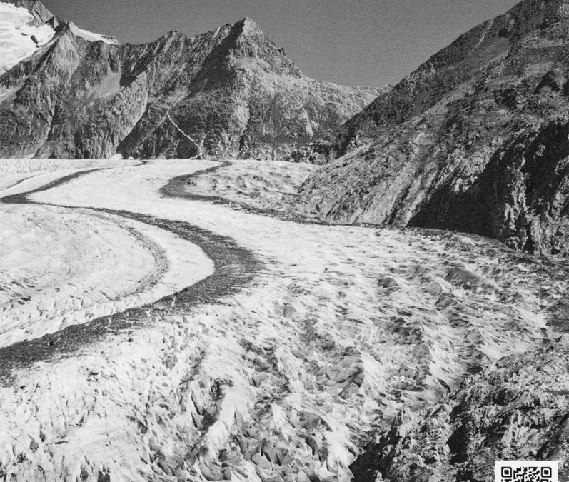 Climat et changements climatiques: impacts sur  l’environement alpin