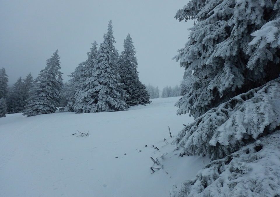 Récit de course Chasseron
